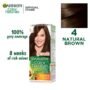 Garnier Color Natural Hair Color 4