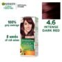 Garnier Color Natural Hair Color 4.6