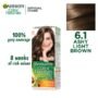 Garnier Color Natural Hair Color 6.1